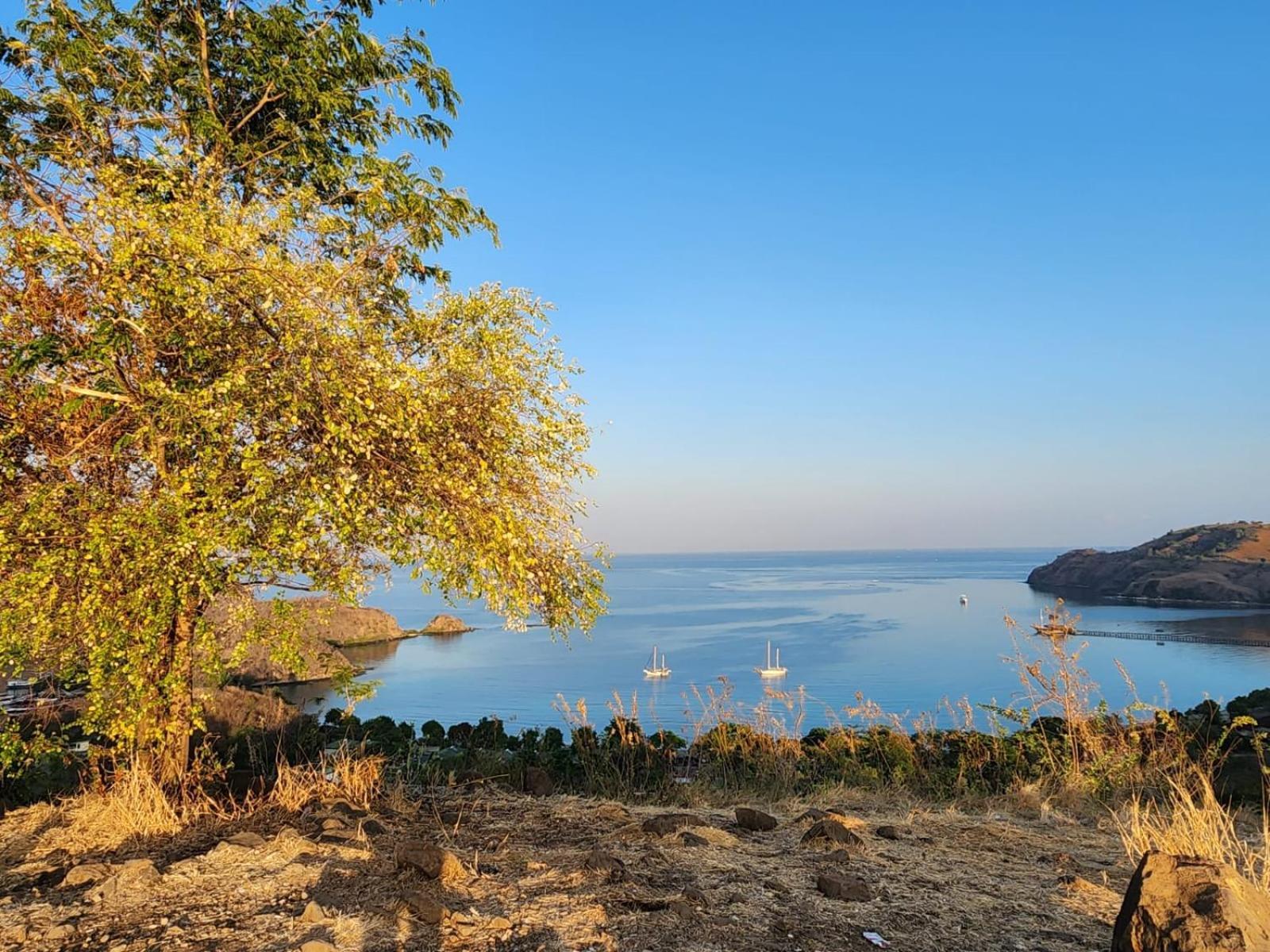 Sylvia Hotel & Resort Komodo Labuan Bajo Εξωτερικό φωτογραφία